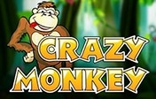 Crazy Monkey